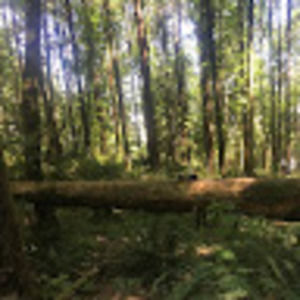 Meet your Posher, Rowan